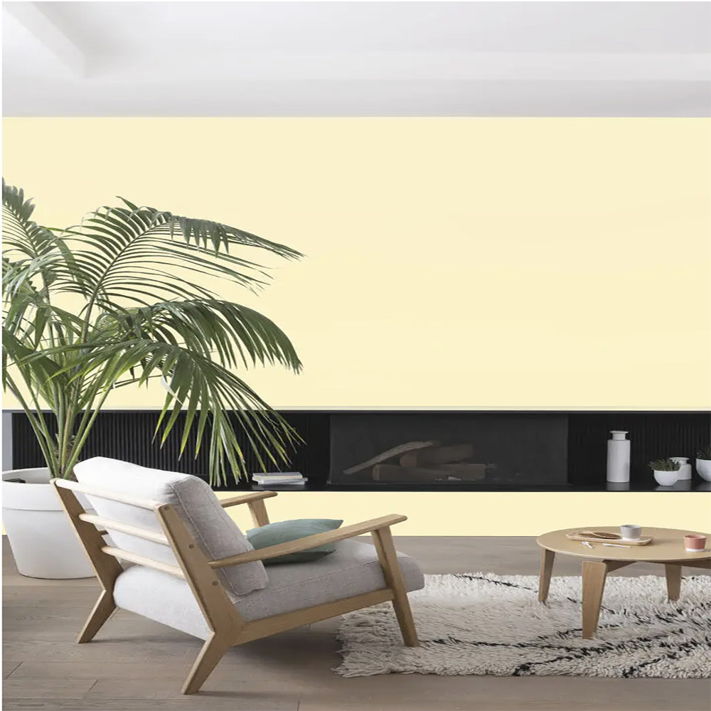 Peinture intérieure V33 Colorissim Velours Sorbet Vanille - Ambiance