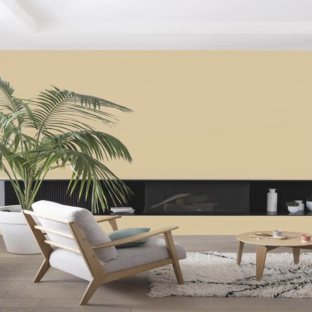 Peinture intérieure V33 Colorissim Velours Caffe Latte