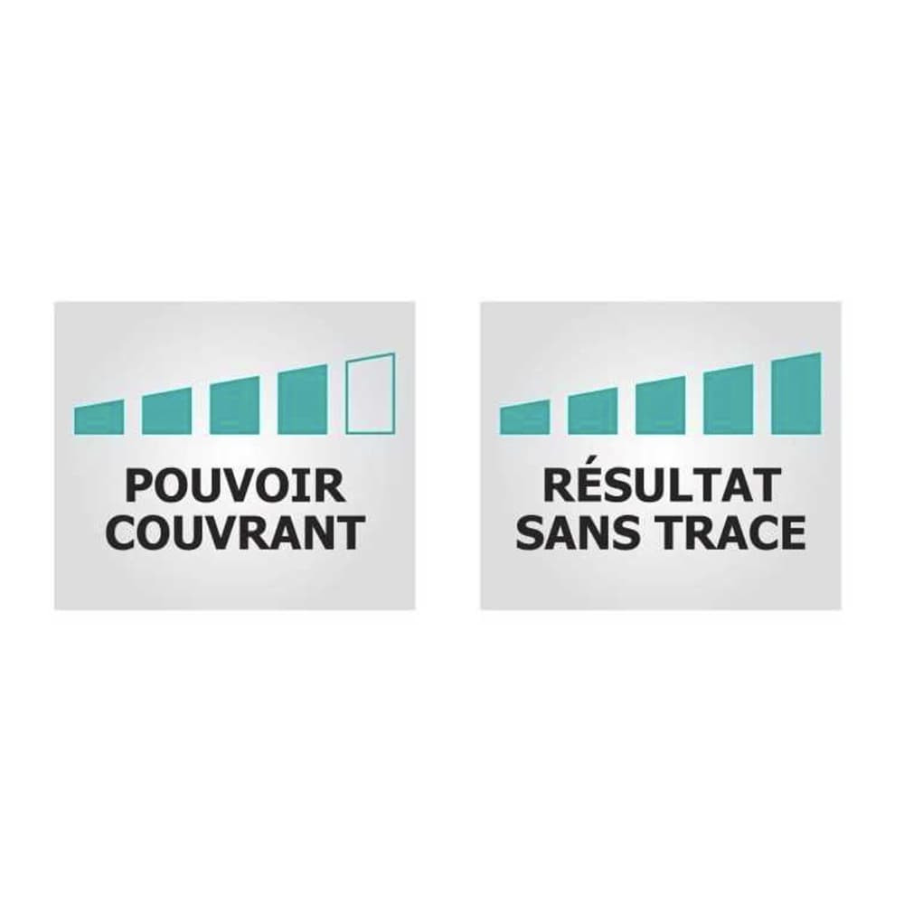 Peinture intérieure acrylique RIPOLIN Plafonds Blanc Mat - caractériqtiques
