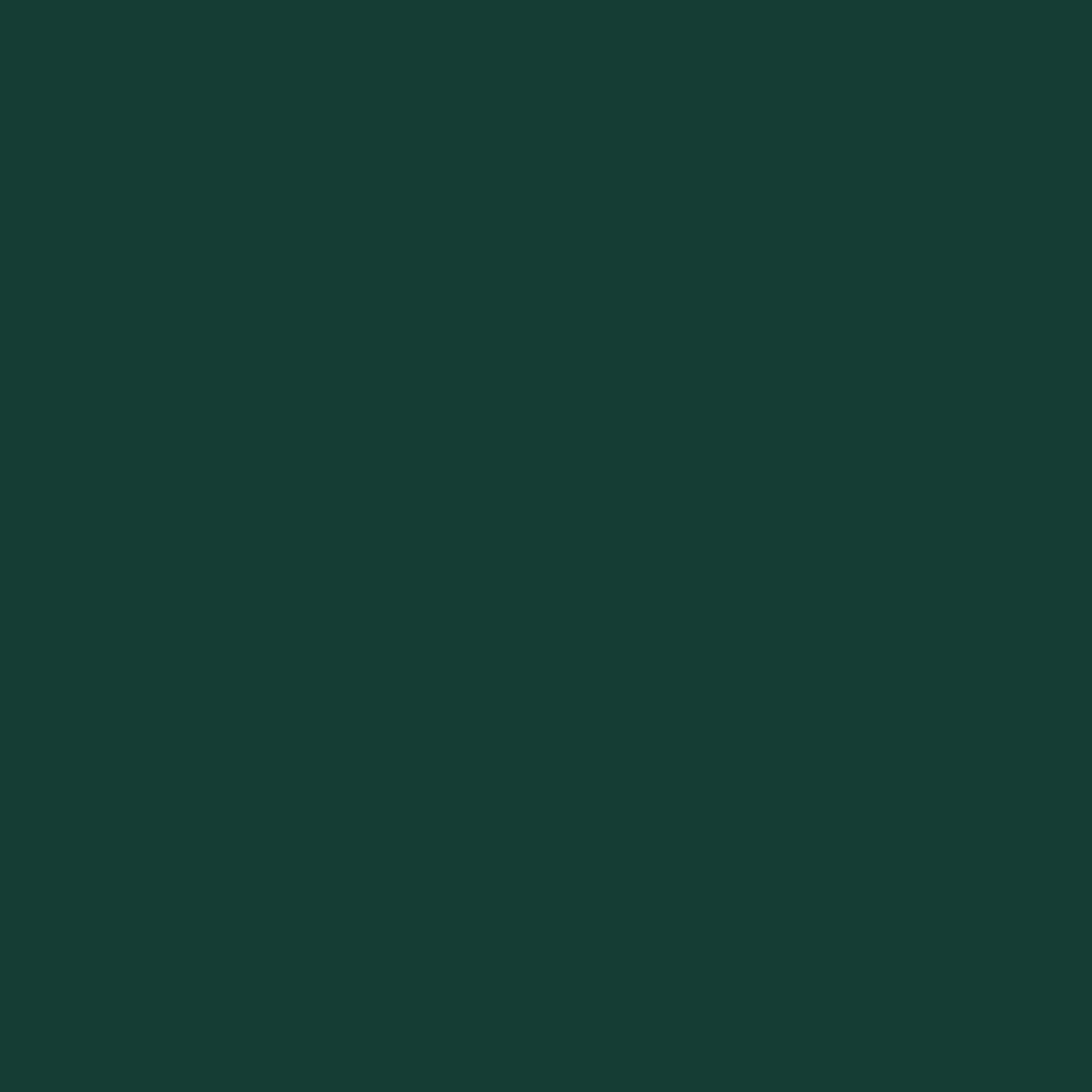 Peinture Bois Microporeuse Addict Vert Irlandais Satin