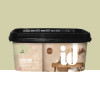 Peinture Nacrée Velours ID Nacre Anis n°4 - 2L