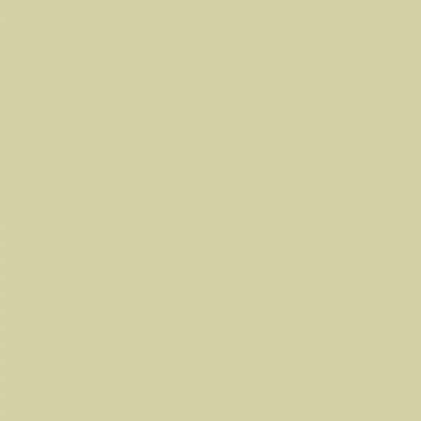 Peinture Nacrée Velours ID Nacre Anis n°4 - couleur