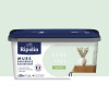 Peinture Murs, Boiseries, Radiateurs RIPOLIN Satin Vert anis - 2,5L