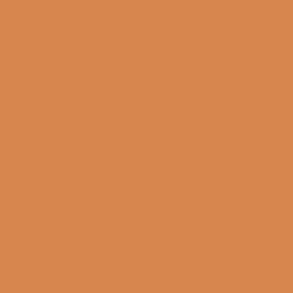Peinture Murs, Boiseries, Radiateurs RIPOLIN Satin Ocre salentina - couleur