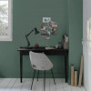 Peinture murs & plafonds V33 Coup d'éclat Vert malachite - ambiance